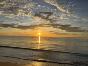 Thumbnail of post image 042