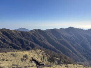 Thumbnail of post image 052