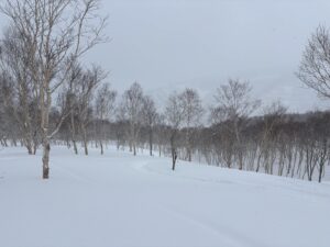 Thumbnail of post image 119