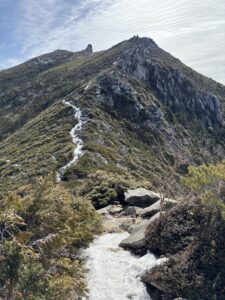 Thumbnail of post image 051