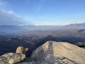 Thumbnail of post image 114