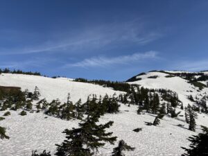 Thumbnail of post image 086