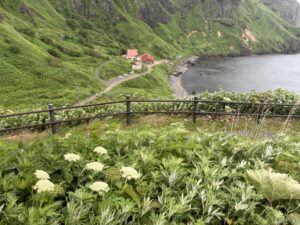 Thumbnail of post image 011