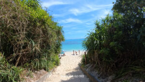 Thumbnail of post image 059