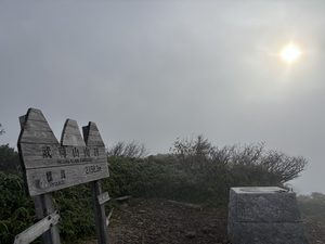 Thumbnail of post image 196
